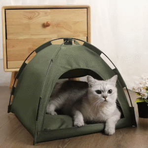 Ref 1053🐾Carpa Para Mascotas